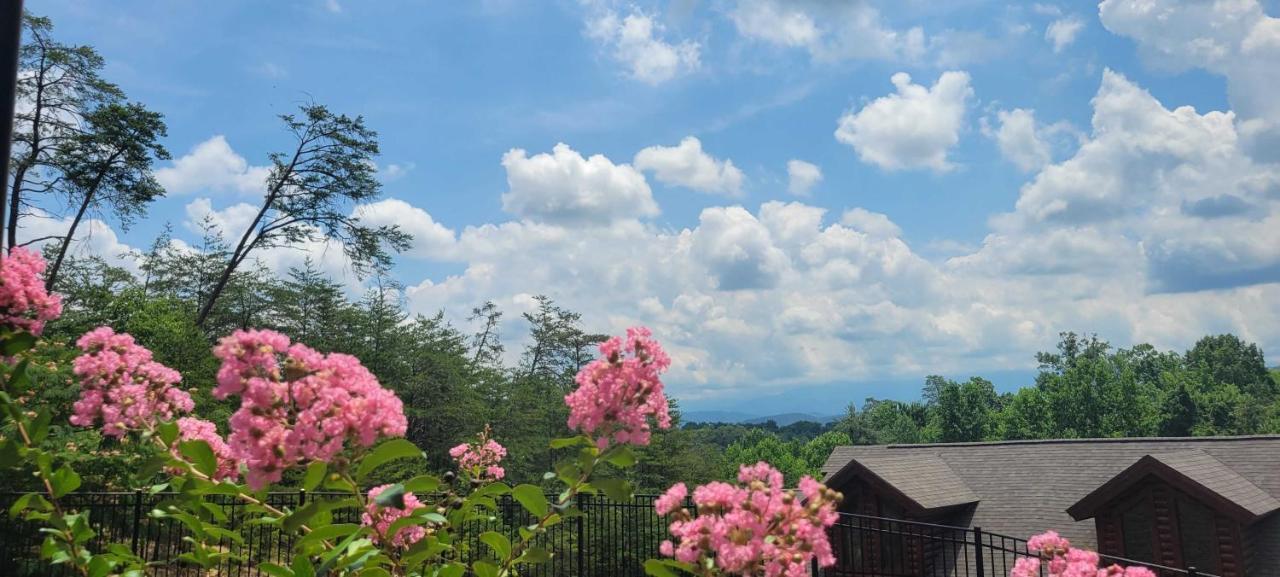 The Bear Paw Palace Mtn View And Community Pools Pigeon Forge Ngoại thất bức ảnh
